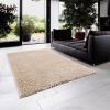 [Only support Drop Shipping Buyer] Camdyn Super Soft Polyester Shag Area Rug